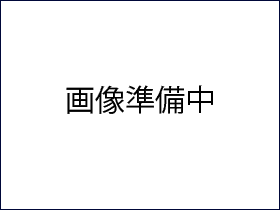 船生西運動広場の画像