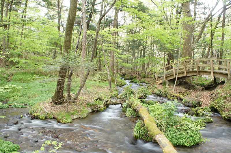 平成２５年５月１日撮影