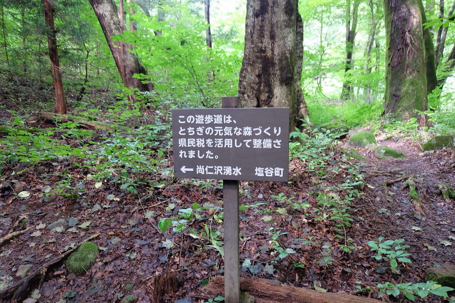 遊歩道の画像2