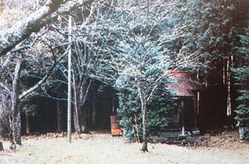 鳥羽新田 箒根神社遺跡の画像