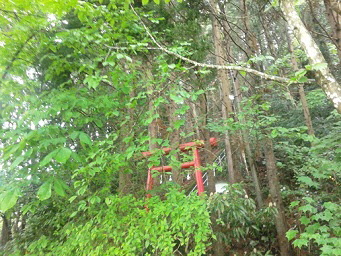 玉生 伯耆根神社社叢の画像